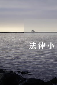 法律小菜鸡 法律小菜鸡