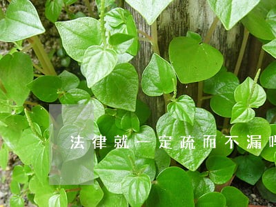 法律就一定疏而不漏吗 法律就一定疏而不漏吗