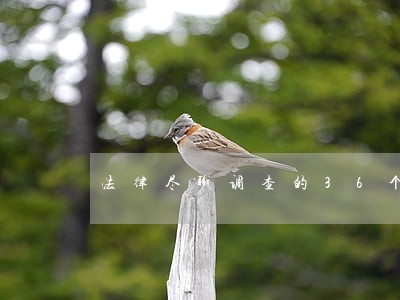 法律尽职调查的36个要点 法律尽职调查的36个要点