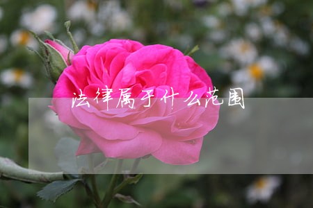 法律属于什么范围