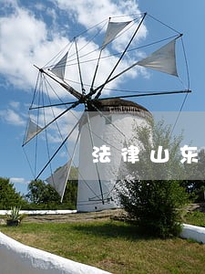法律山东大学出版社中国政法大学出版社