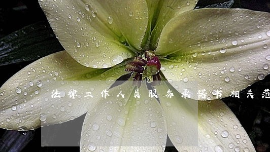 法律工作人员服务承诺书相关范文 法律工作人员服务承诺书相关范文