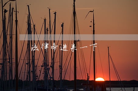 法律帝进来一下 法律帝进来一下