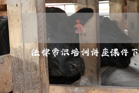 法律常识培训讲座课件下载 法律常识培训讲座课件下载