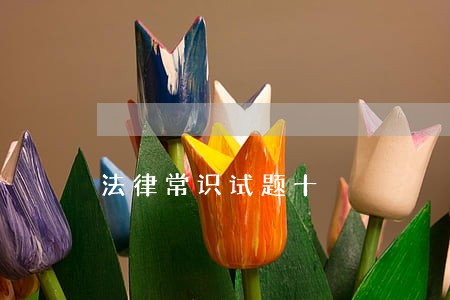法律常识试题十 法律常识试题十