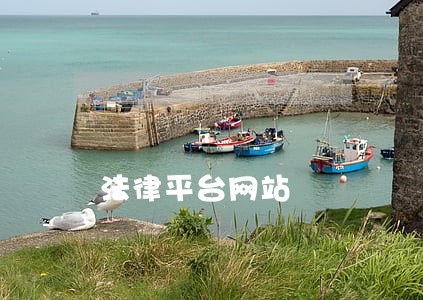 法律平台网站 法律平台网站