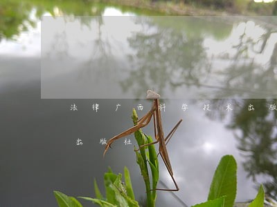 法律广西科学技术出版社中国人民公安大学出版社 法律广西科学技术出版社中国人民公安大学出版社