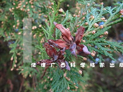 法律广西科学技术出版社中国方正出版社