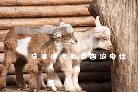 法律律师免费咨询电话 法律律师免费咨询电话