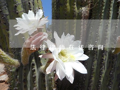 法律律师在线咨询 法律律师在线咨询