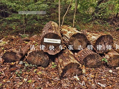 法律快车张志娟律师网 法律快车张志娟律师网