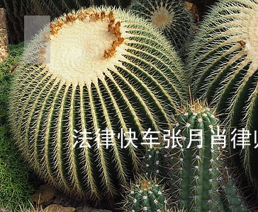 法律快车张月肖律师网 法律快车张月肖律师网