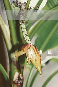 法律快车张琰律师网 法律快车张琰律师网
