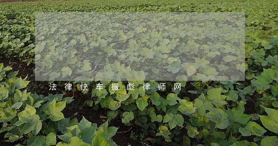 法律快车振彪律师网