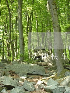 法律快车网法律咨询 法律快车网法律咨询