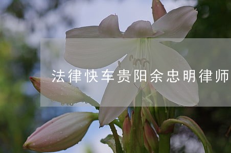 法律快车贵阳余忠明律师网