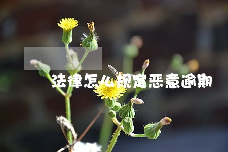法律怎么规定恶意逾期 法律怎么规定恶意逾期