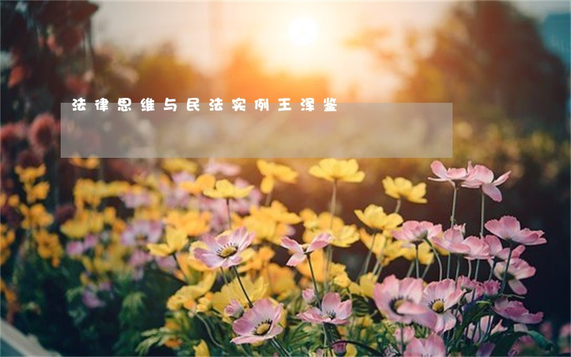 法律思维与民法实例王泽鉴 法律思维与民法实例王泽鉴