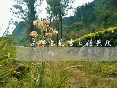法律意见书上传失败