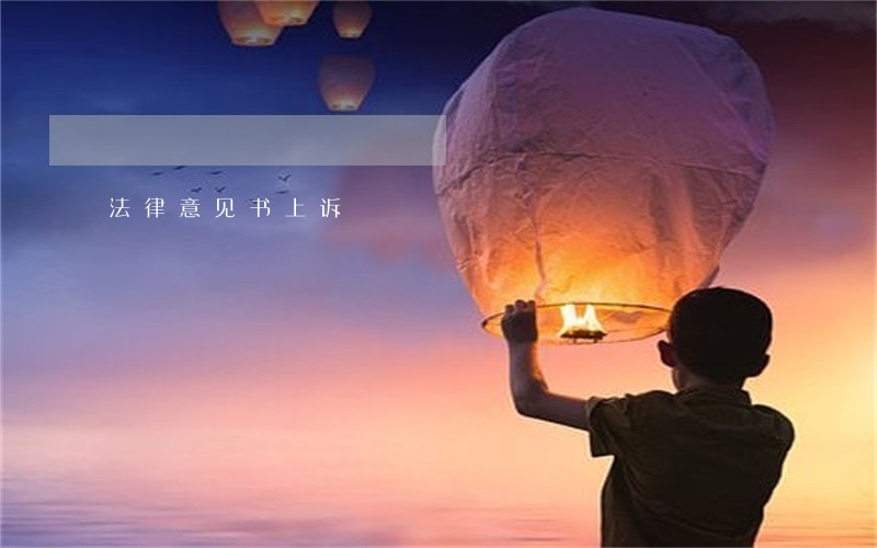 法律意见书上诉 法律意见书上诉