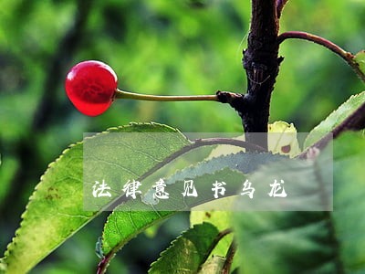 法律意见书乌龙 法律意见书乌龙