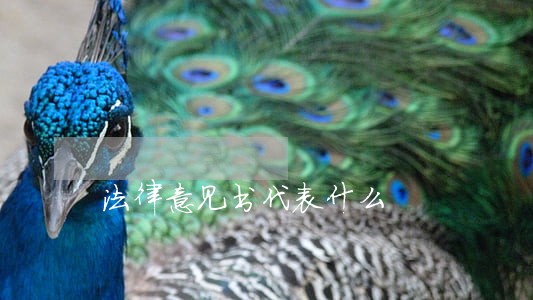 法律意见书代表什么 法律意见书代表什么