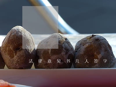 法律意见书几人签字 法律意见书几人签字