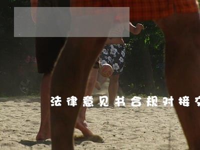 法律意见书合规对接交易所