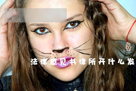 法律意见书律所开什么发票 法律意见书律所开什么发票