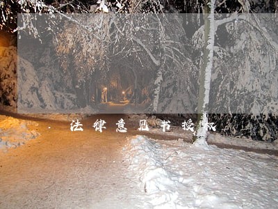 法律意见书授权