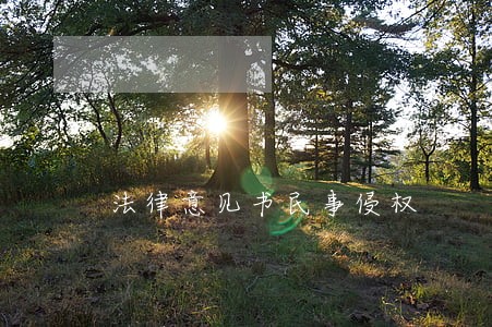 法律意见书民事侵权 法律意见书民事侵权