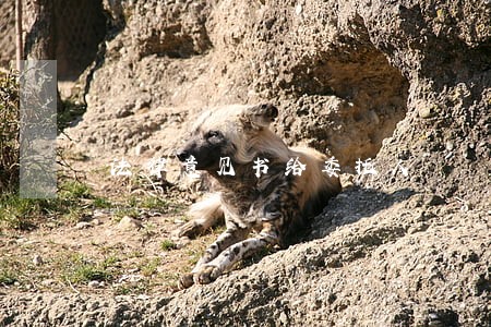 法律意见书给委托人 法律意见书给委托人