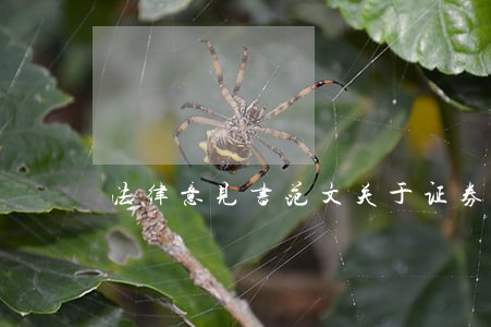 法律意见书范文关于证券 法律意见书范文关于证券
