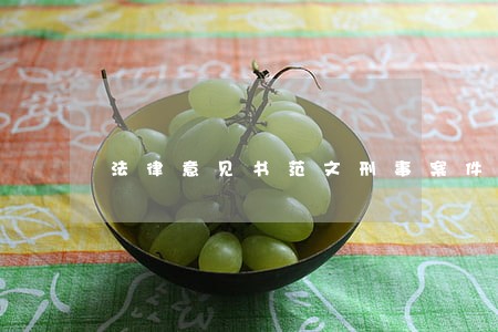 法律意见书范文刑事案件