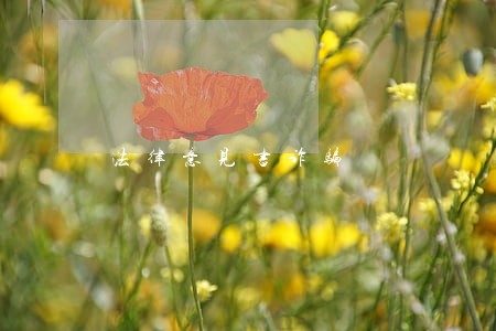 法律意见书诈骗 法律意见书诈骗