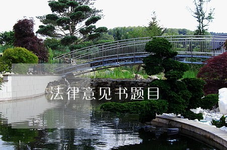 法律意见书题目 法律意见书题目