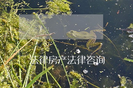 法律房产法律咨询 法律房产法律咨询