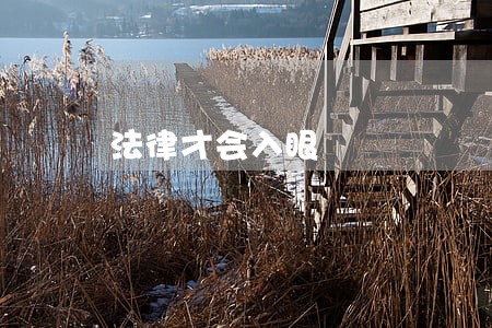法律才会入眼 法律才会入眼