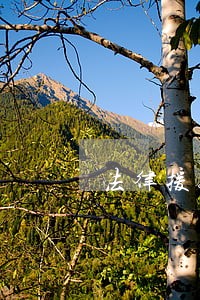 法律援助一般多久开庭 法律援助一般多久开庭