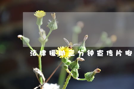法律援助三分钟宣传片脚本初稿