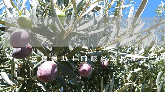 法律援助上门服务解民忧 法律援助上门服务解民忧