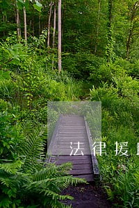 法律援助不出庭的后果 法律援助不出庭的后果