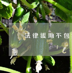 法律援助不包括下列形式 法律援助不包括下列形式