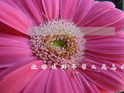 法律援助不帮出庭怎么办 法律援助不帮出庭怎么办