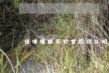法律援助不打官司可以吗 法律援助不打官司可以吗