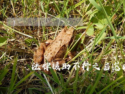 法律援助不行之后怎么办 法律援助不行之后怎么办