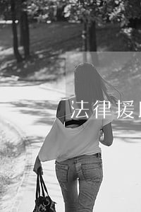 法律援助与宪法的关系 法律援助与宪法的关系
