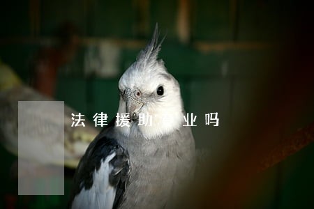 法律援助专业吗 法律援助专业吗