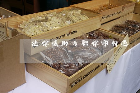 法律援助专职律师待遇 法律援助专职律师待遇