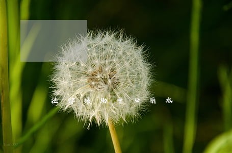 法律援助中心丽水 法律援助中心丽水